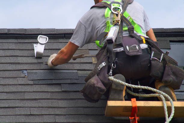 Best Roof Waterproofing Services  in Armada, MI